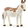 American Spotted Donkey