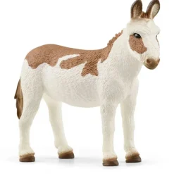 American Spotted Donkey