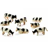 Black and White Cows