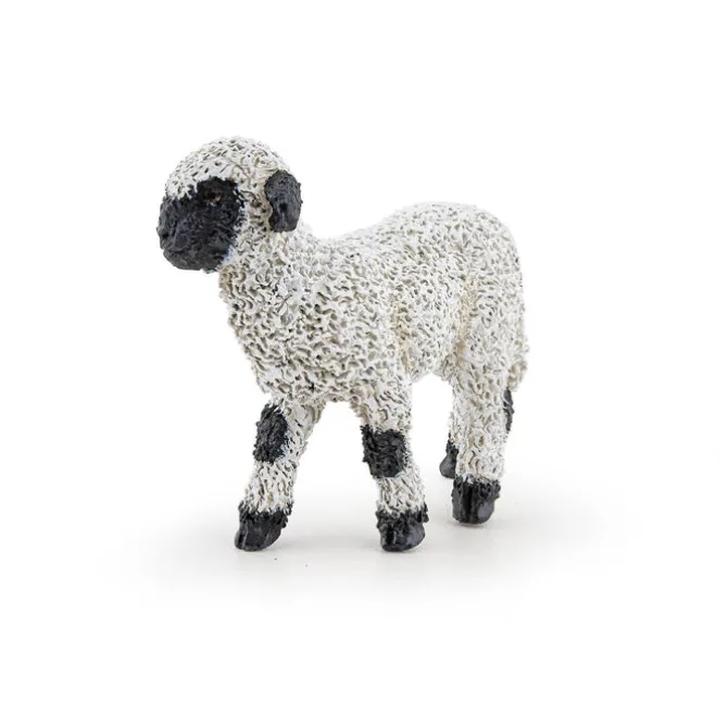 Black Nose Valais Lamb