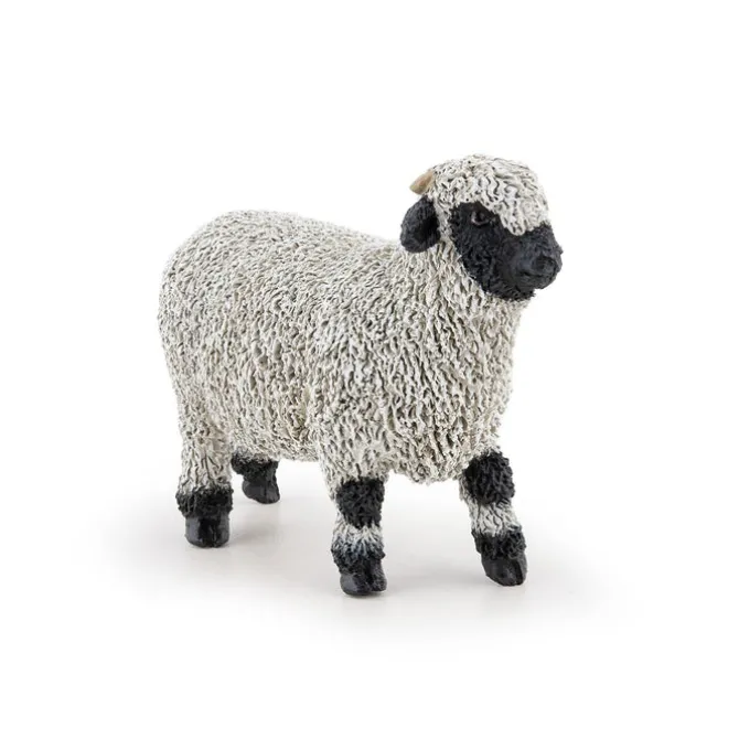 Black Nose Valais Sheep