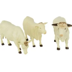 Charolais Cattle Set