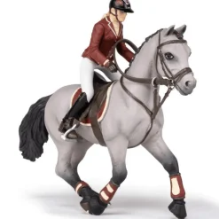 Competition Horse with Riding Girl