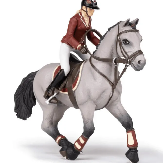 Competition Horse with Riding Girl