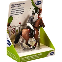 Competition Horse with Rider