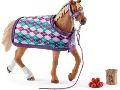 English Thoroughbred with Blanket