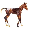 Espresso - Springtime Filly