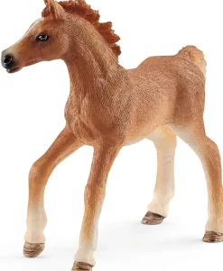 Foal with Blanket
