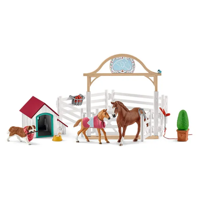 Hannah's Guest Horses with Ruby the Dog