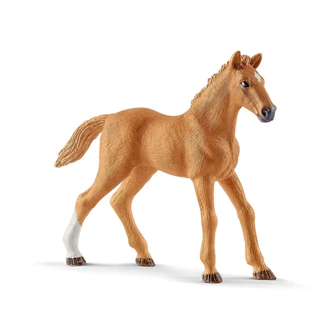 Hannah's Guest Horses with Ruby the Dog