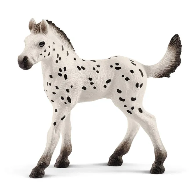 Knapstrupper Foal