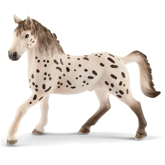 Knapstrupper Stallion