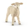 Lamb