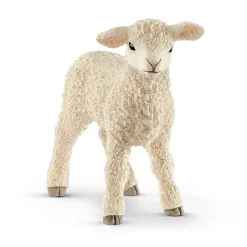 Lamb