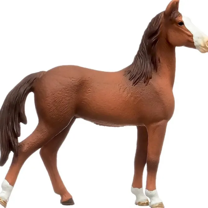 Marwari Mare
