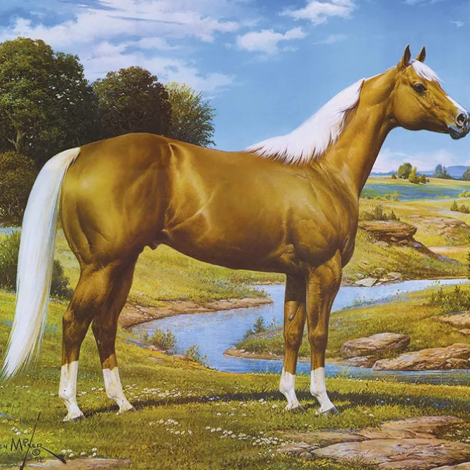 Palomino