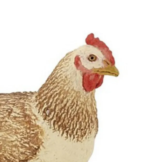 Papo Hen