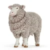 Papo Merino Ewe