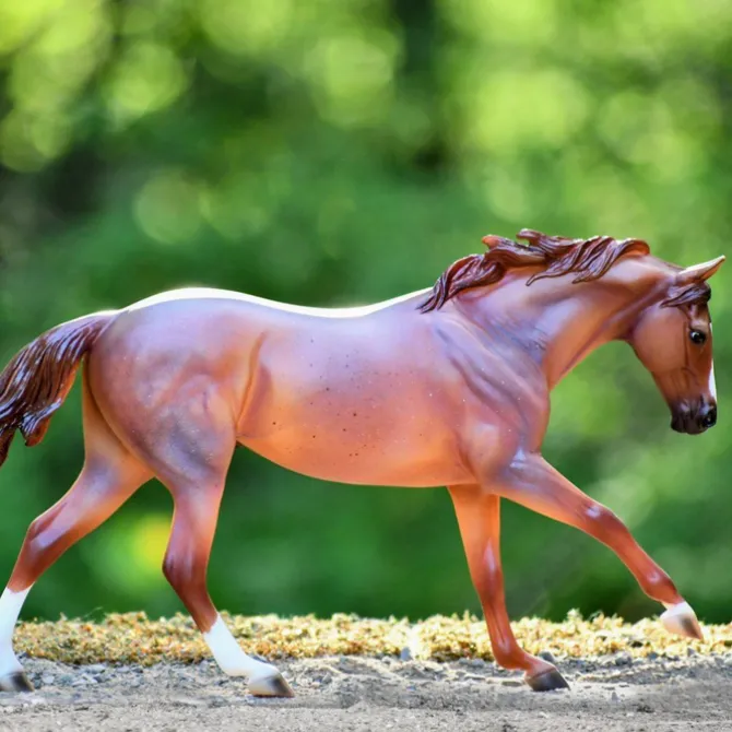 Peptoboonsmal Horse