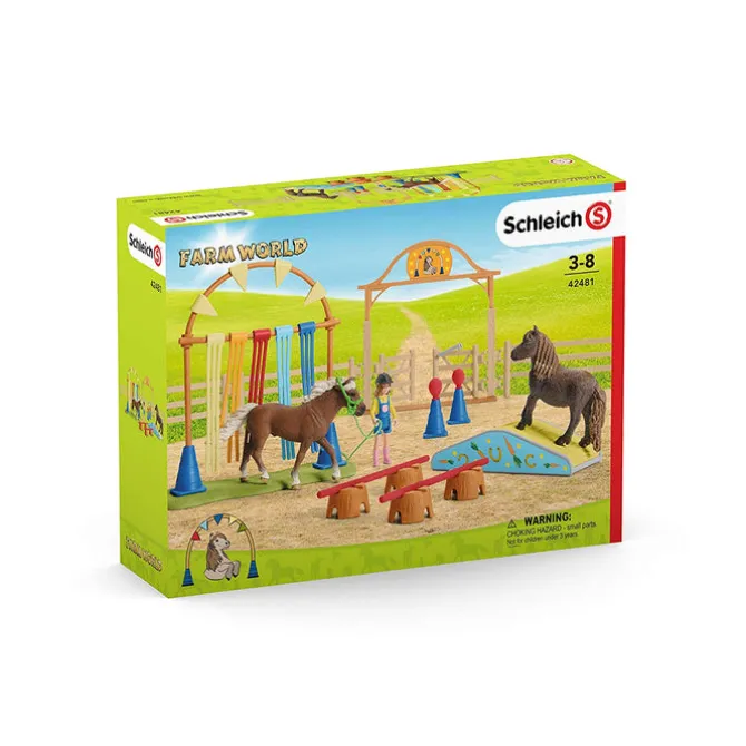 Pony Agility Training