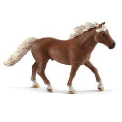 Pony Agility Training