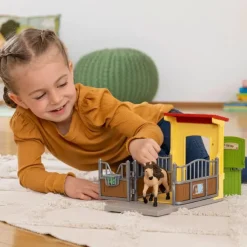 Pony Box with Iceland Pony Stallion
