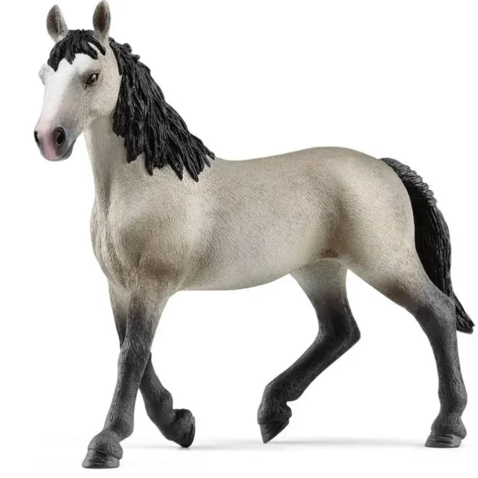 Selle Français Mare