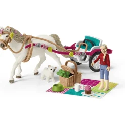 Small Carriage for Big Horse Show
