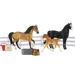 Spanish Mustang Family