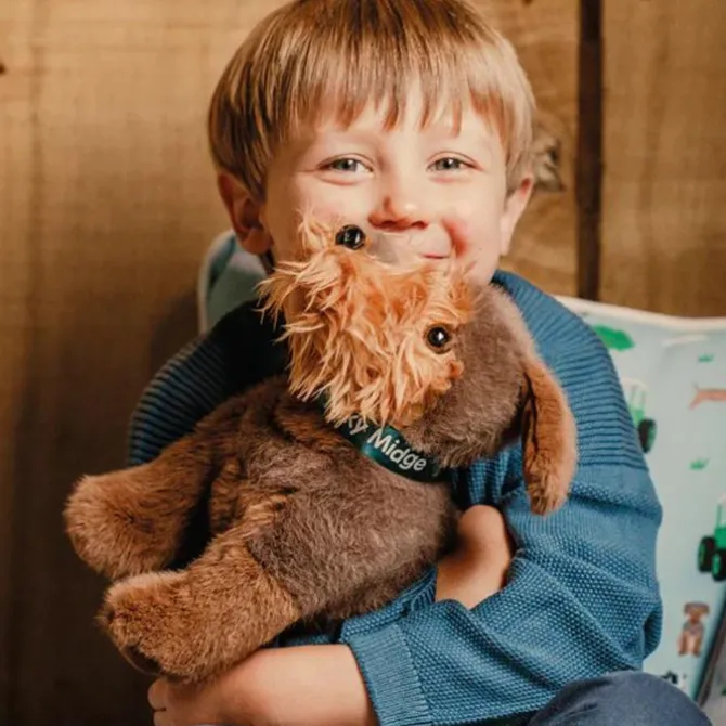 Tractor Ted Cheeky Midge Soft Toy