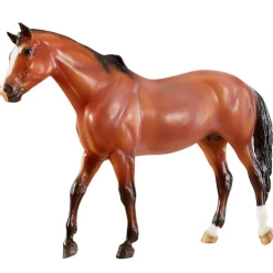 Vicki Wilson's Kentucky American Quarter Horse