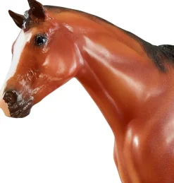 Vicki Wilson's Kentucky American Quarter Horse