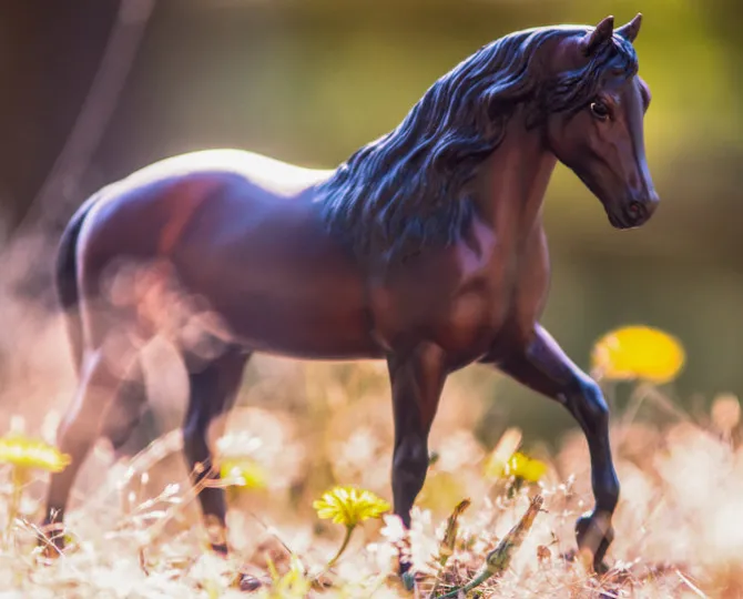 Vivaldi de Besilu Horse