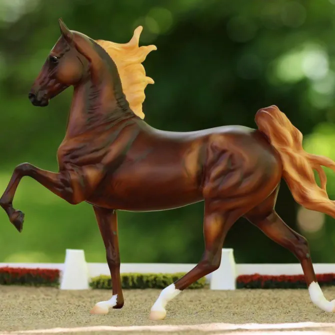 WGC Marc of Charm Saddlebred Stallion