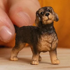 Wire-Haired Dachshund